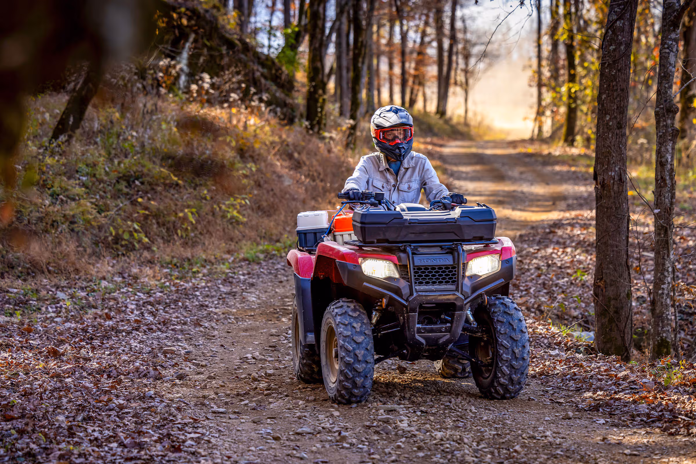 TRX 420 FourTrax em destaque, visão frontal
